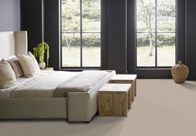 Anderson Tuftex Carpet San Lucas Natural view 3