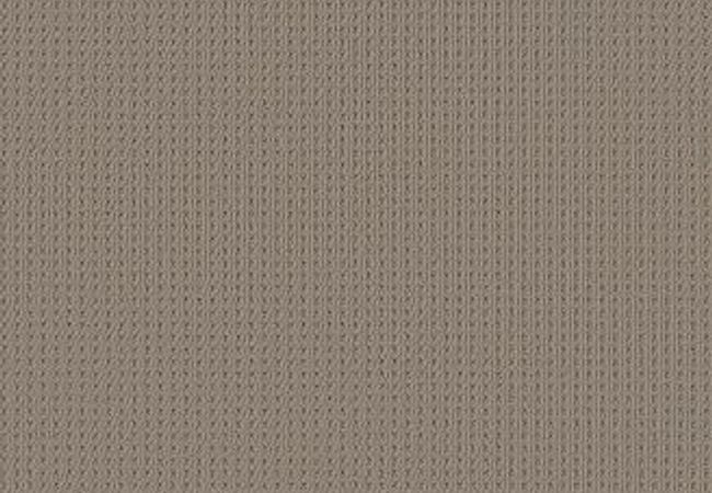 Anderson Tuftex Carpet San Lucas Pavestone