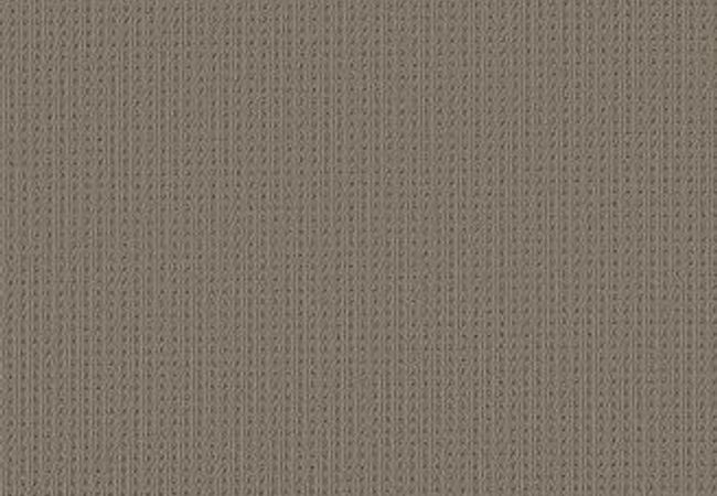Anderson Tuftex Carpet San Lucas Pewter