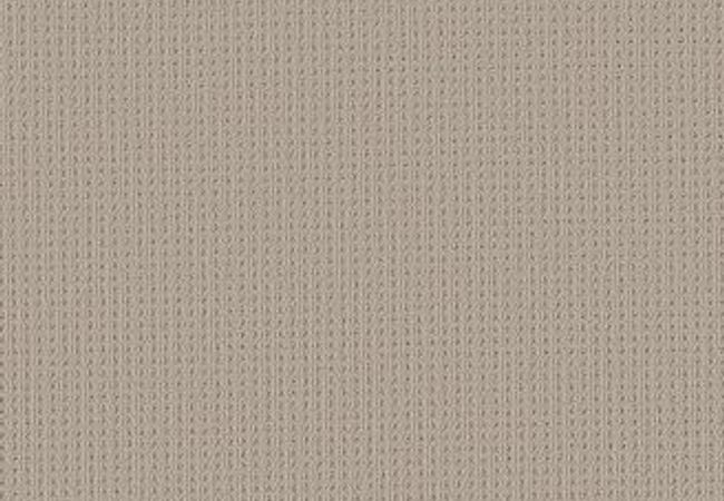 Anderson Tuftex Carpet San Lucas Plymouth