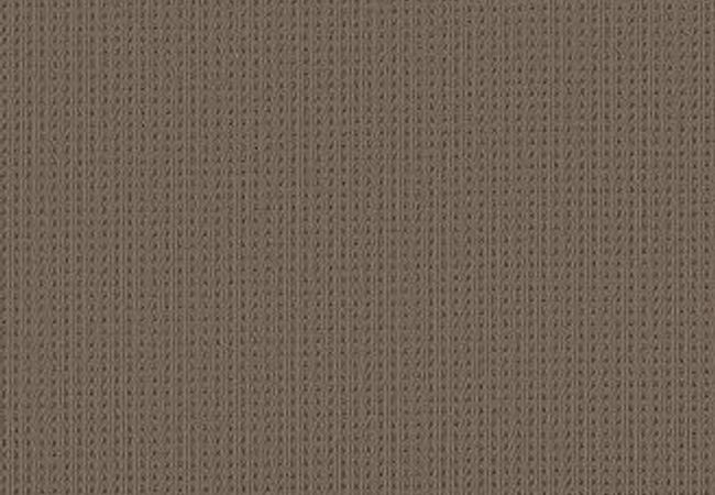 Anderson Tuftex Carpet San Lucas Shingle