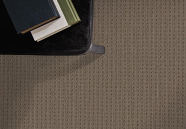 Anderson Tuftex Carpet San Lucas Shingle view 2