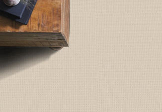 Anderson Tuftex Carpet San Lucas Sparkling view 2