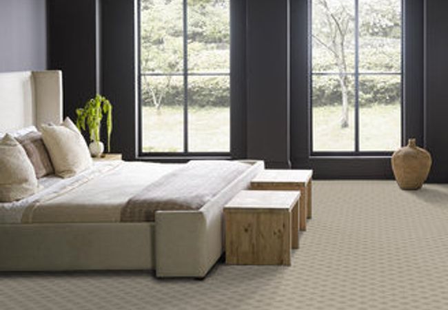 Anderson Tuftex Carpet Scout Birch view 3