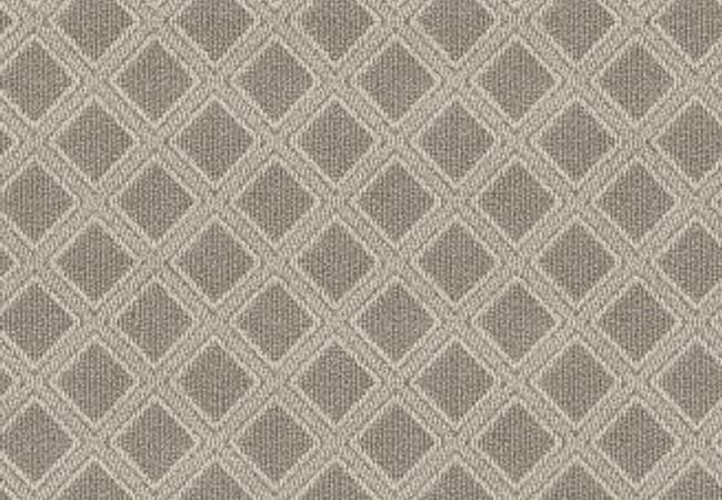 Anderson Tuftex Carpet Scout Briarwood