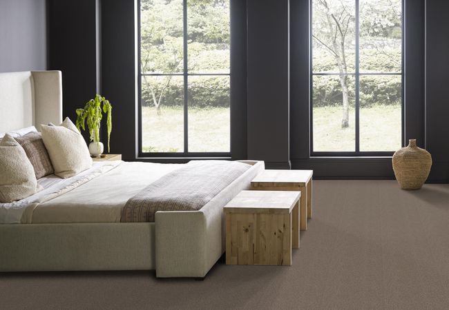 Anderson Tuftex Carpet Scout Desert Palm view 3