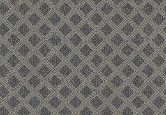 Anderson Tuftex Carpet Scout Downpour