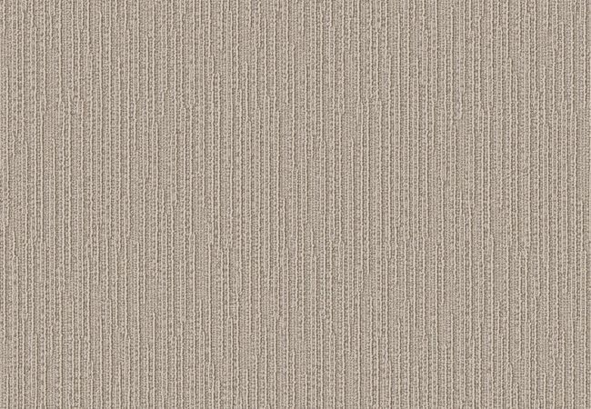 Anderson Tuftex Carpet Scout Oyster Shell