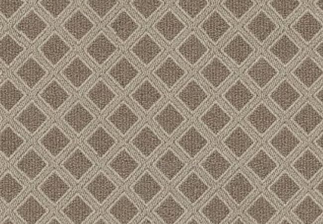 Anderson Tuftex Carpet Scout Russet