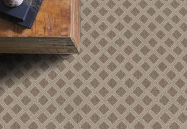 Anderson Tuftex Carpet Scout Russet view 2