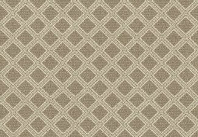 Anderson Tuftex Carpet Scout Sesame