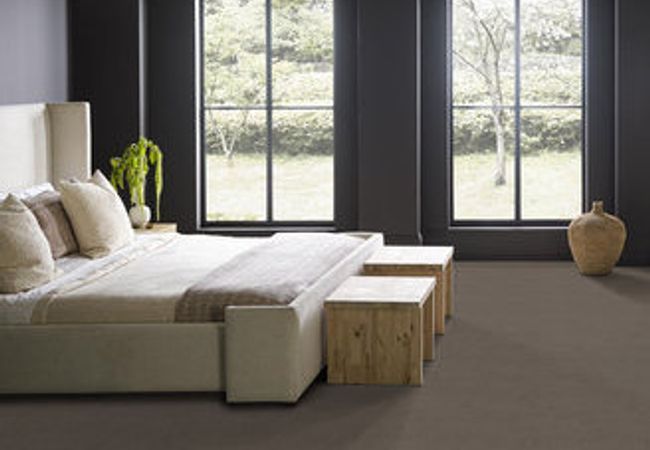 Anderson Tuftex Carpet Sketch Chantrelle view 2