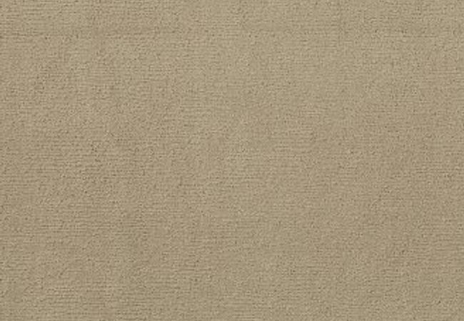 Anderson Tuftex Carpet Sketch Coronado