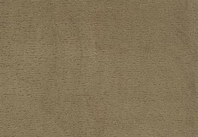 Anderson Tuftex Carpet Sketch Folklore