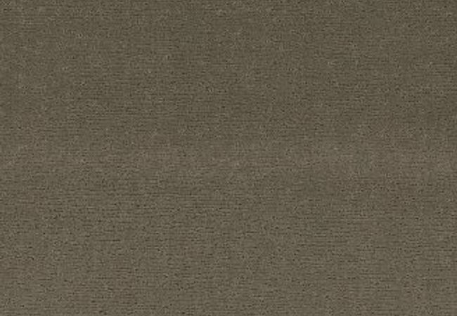 Anderson Tuftex Carpet Sketch Herbal