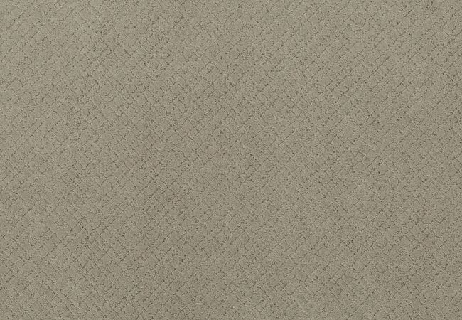 Anderson Tuftex Carpet Sketch Inner Balance