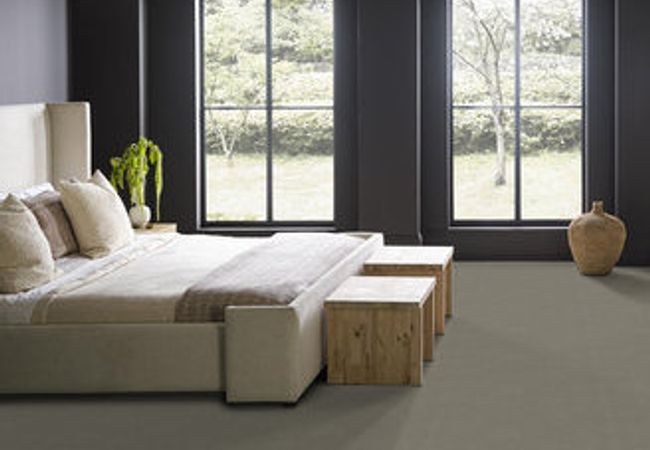 Anderson Tuftex Carpet Sketch Intrigue view 2