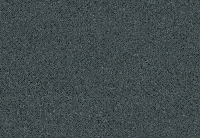 Anderson Tuftex Carpet Sketch Ocean Floor