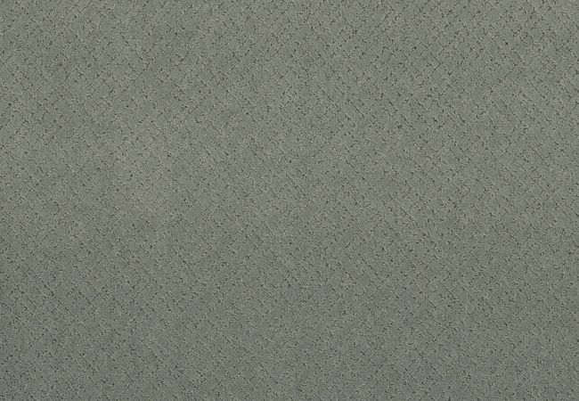 Anderson Tuftex Carpet Sketch Pine Forest