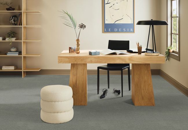 Anderson Tuftex Carpet Sketch Pine Forest view 2