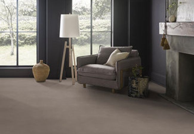 Anderson Tuftex Carpet Sketch Socialite view 2