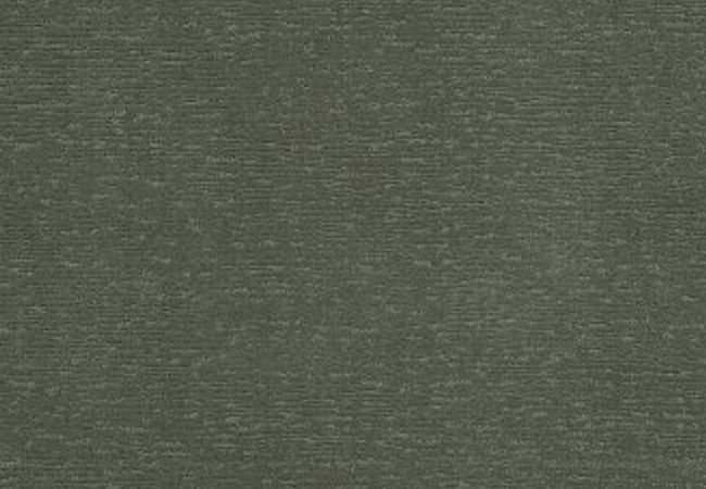 Anderson Tuftex Carpet Sketch Wonder