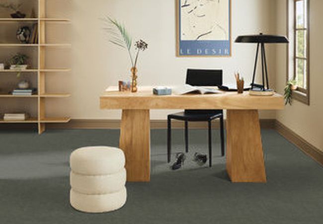 Anderson Tuftex Carpet Sketch Wonder view 2