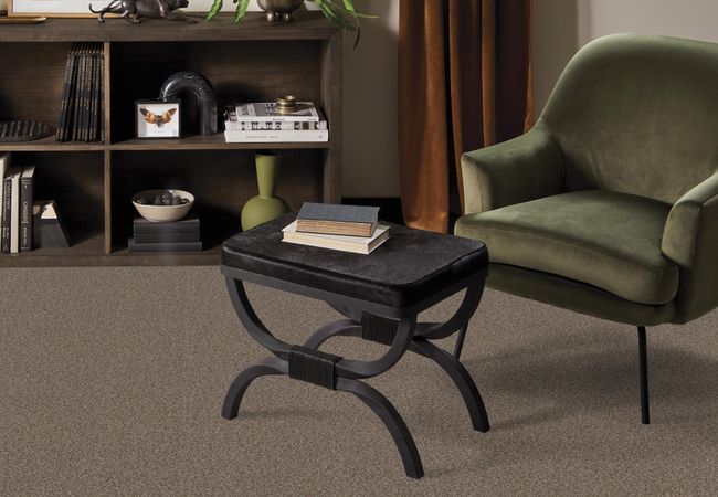 Anderson Tuftex Carpet Speak Desert Palm view 2