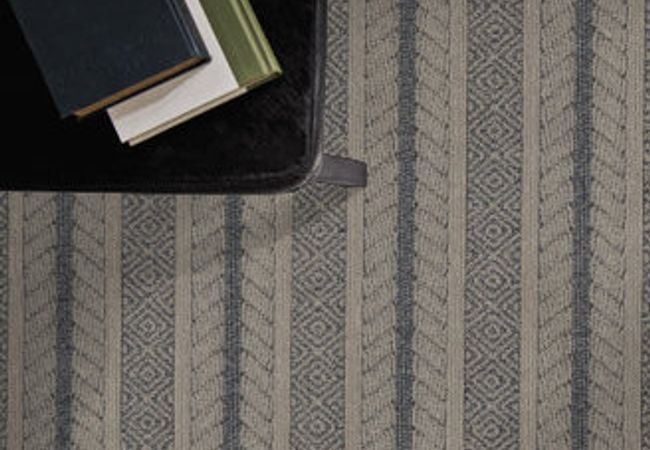 Anderson Tuftex Carpet Speak Downpour view 2