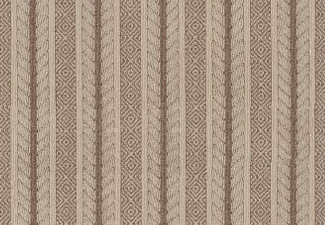 Anderson Tuftex Carpet Speak Russet