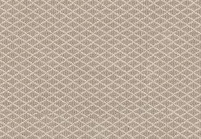 Anderson Tuftex Carpet Springer's Point Almond