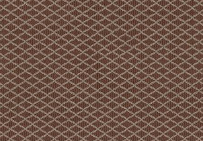 Anderson Tuftex Carpet Springer's Point Burnt Russet