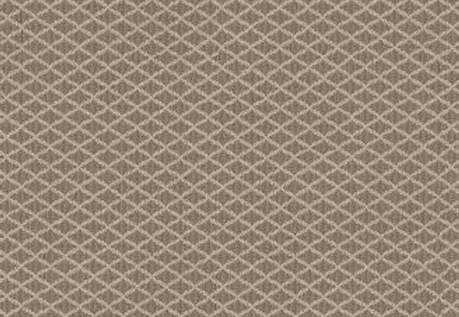 Anderson Tuftex Carpet Springer's Point Creekbed