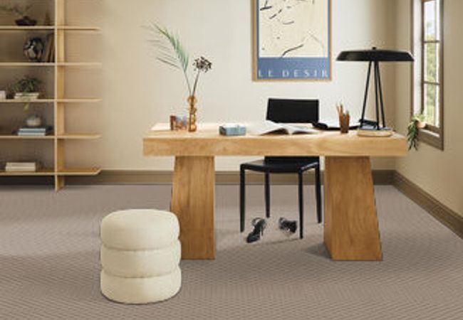 Anderson Tuftex Carpet Springer's Point Creekbed view 2