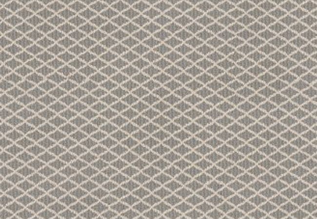 Anderson Tuftex Carpet Springer's Point Iced Marble