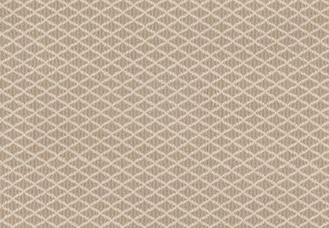 Anderson Tuftex Carpet Springer's Point Mohair