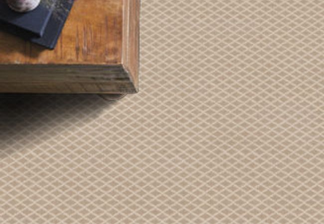 Anderson Tuftex Carpet Springer's Point Mohair view 2