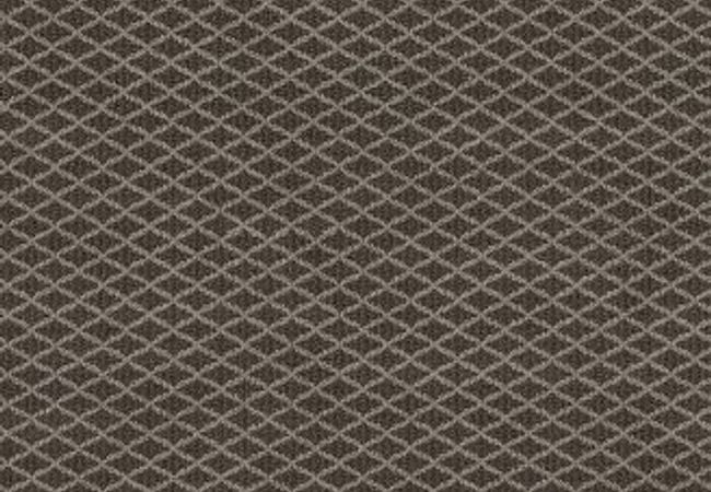 Anderson Tuftex Carpet Springer's Point Pepperdock