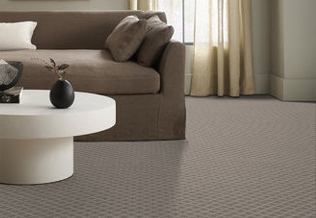 Anderson Tuftex Carpet Springer's Point Shoreline view 2