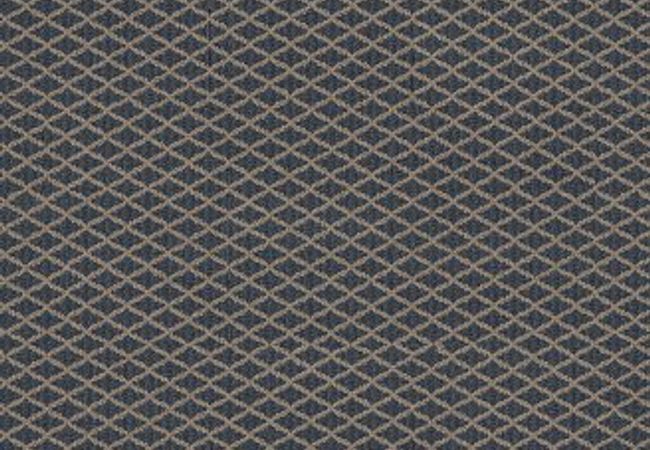 Anderson Tuftex Carpet Springer's Point Stillwater