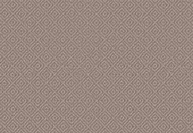 Anderson Tuftex Carpet Stroll Creekbed