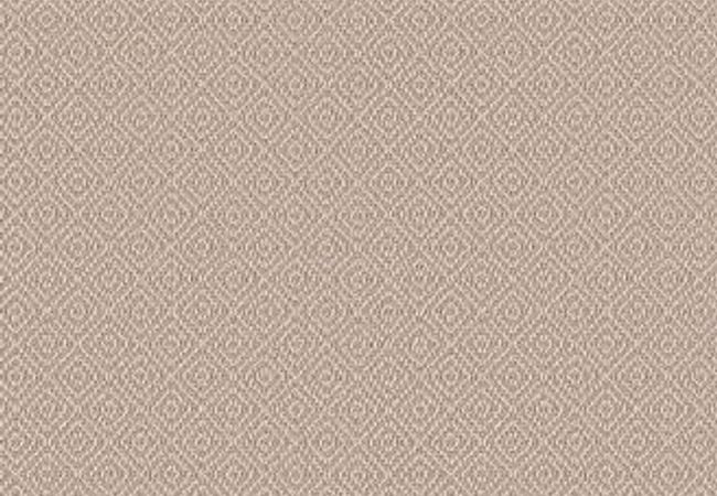 Anderson Tuftex Carpet Stroll Mohair