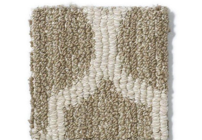 Anderson Tuftex Carpet Taza Cliff Edge