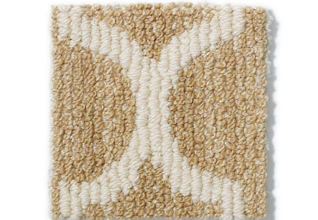 Anderson Tuftex Carpet Taza Desert Tan