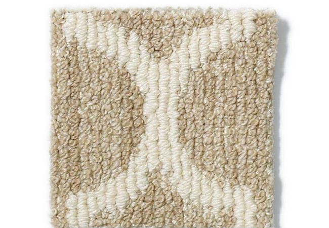Anderson Tuftex Carpet Taza Fine Grain