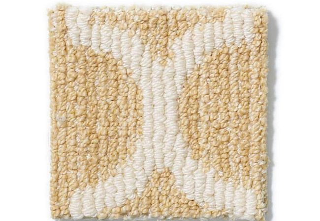 Anderson Tuftex Carpet Taza Fresh Citrus