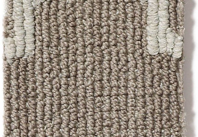 Anderson Tuftex Carpet Taza II Brownstone
