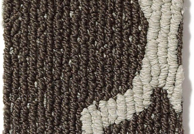 Anderson Tuftex Carpet Taza II Cafe Noir