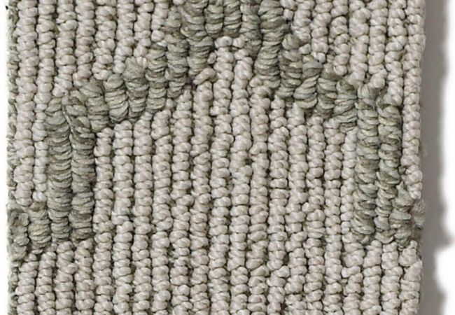 Anderson Tuftex Carpet Taza II Greige