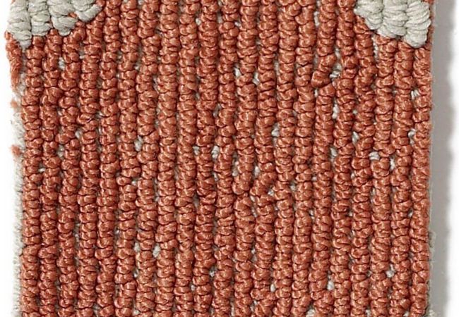 Anderson Tuftex Carpet Taza II Sizzle